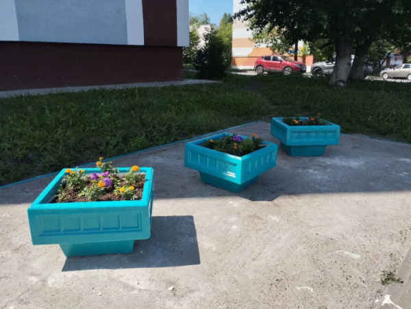 В Челнах мусорную площадку превратили в цветник В Челнах мусорную площадку превратили в цветник