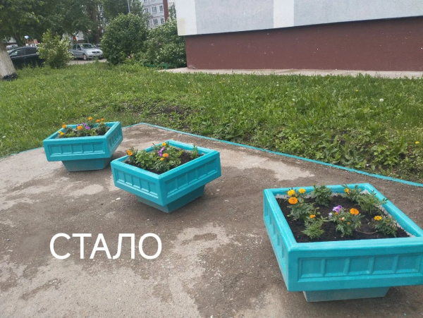 В Челнах мусорную площадку превратили в цветник В Челнах мусорную площадку превратили в цветник