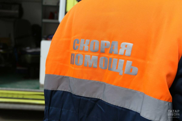 Под Казанью дерево упало на 64-летнего мужчину: он погиб