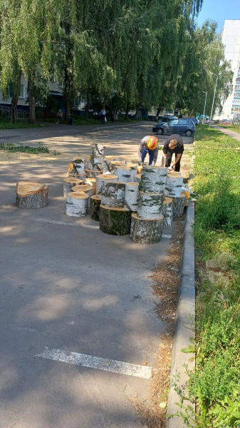 Договориться с УК можно: в 17 комплексе спилили пять опасных деревьев Договориться с УК можно: в 17 комплексе спилили пять опасных деревьев