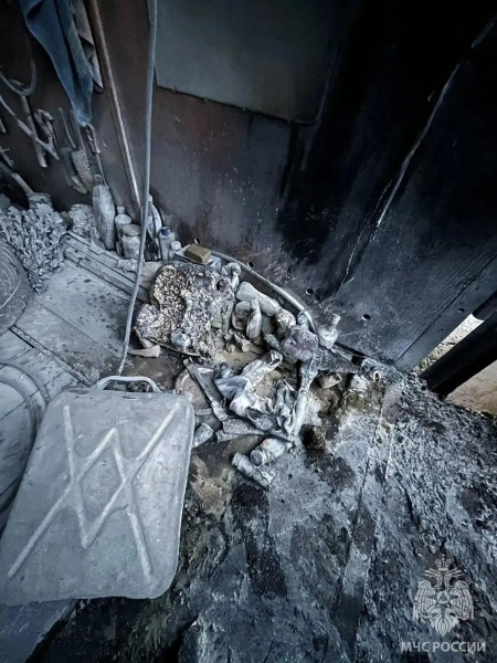 В Нижнекамском районе при пожаре в гараже пострадал мужчина В Нижнекамском районе при пожаре в гараже пострадал мужчина