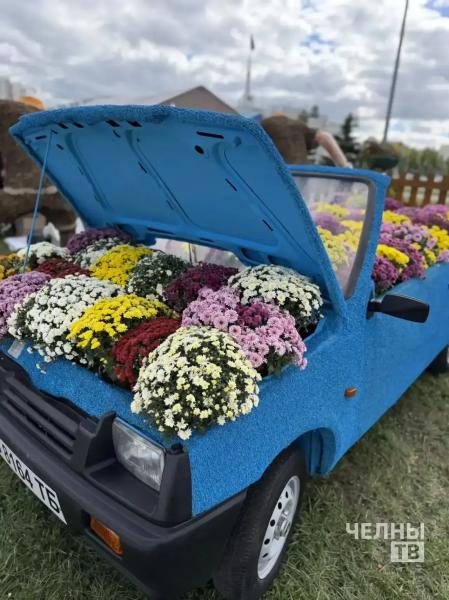 В Челнах идет подготовка к Фестивалю цветов В Челнах идет подготовка к Фестивалю цветов
