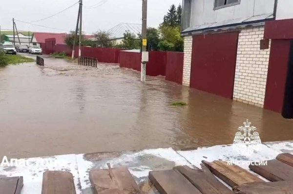 В Татарстане устраняют последствия непогоды: повалены 23 дерева