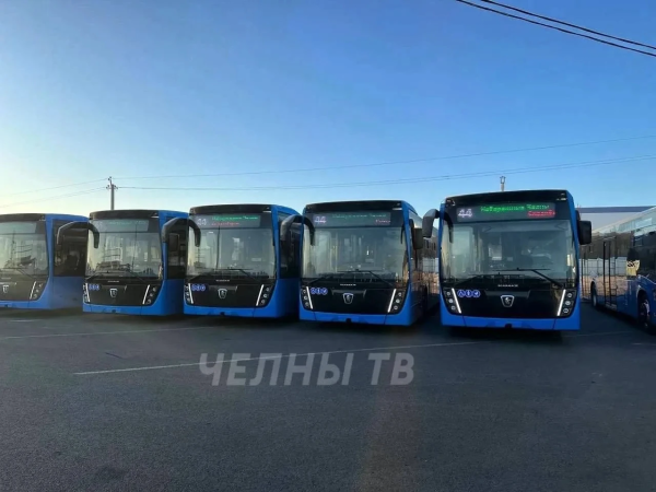 До кладбища «Восточное» в Челнах запустят автобусы в День памяти До кладбища «Восточное» в Челнах запустят автобусы в День памяти
