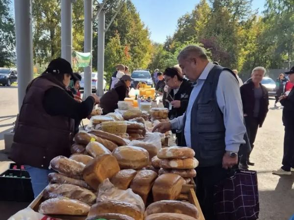 На челнинские ярмарки завезли 547 тонн продукции 