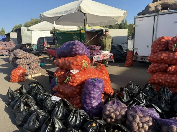 В Набережных Челнах развернулась осенняя сельхозярмарка В Набережных Челнах развернулась осенняя сельхозярмарка