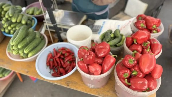 В Набережных Челнах начался сезон осенних сельскохозяйственных ярмарок В Набережных Челнах начался сезон осенних сельскохозяйственных ярмарок