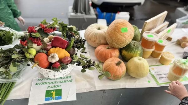 В Набережных Челнах начался сезон осенних сельскохозяйственных ярмарок В Набережных Челнах начался сезон осенних сельскохозяйственных ярмарок