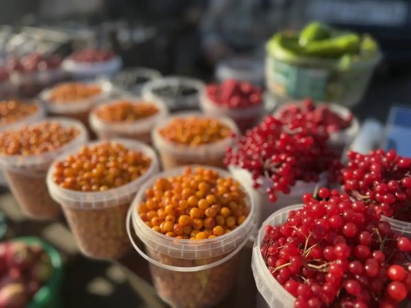 В Набережных Челнах развернулась осенняя сельхозярмарка В Набережных Челнах развернулась осенняя сельхозярмарка