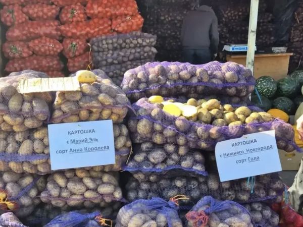 На челнинские ярмарки завезли 547 тонн продукции 
