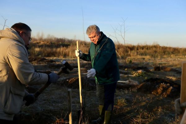 Осенняя кампания по озеленению продолжается: в Набережных Челнах высадили еще 150 деревьев 