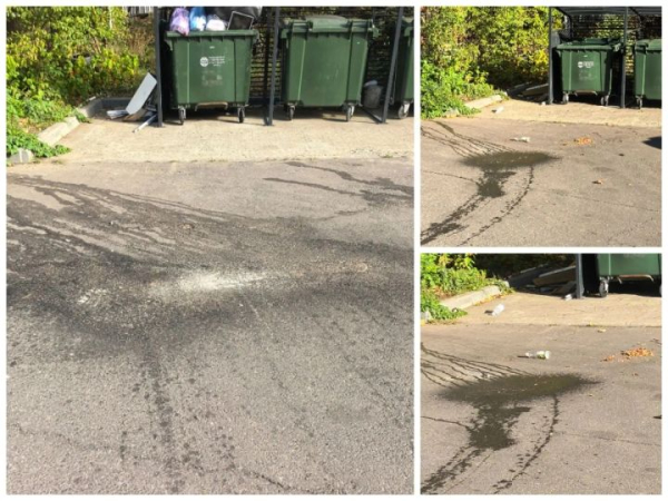 В Челнах экологический двор страдает от стоков мусоровозов В Челнах экологический двор страдает от стоков мусоровозов