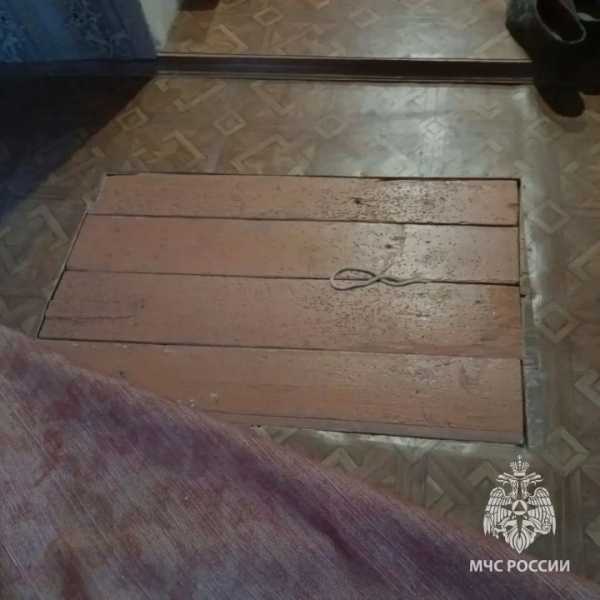 В Татарстане 90-летнюю бабушку вызволяли из погреба