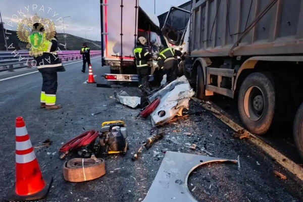 Семь пострадавших: стали известны подробности ДТП с автобусом на мосту через Волгу Семь пострадавших: стали известны подробности ДТП с автобусом на мосту через Волгу