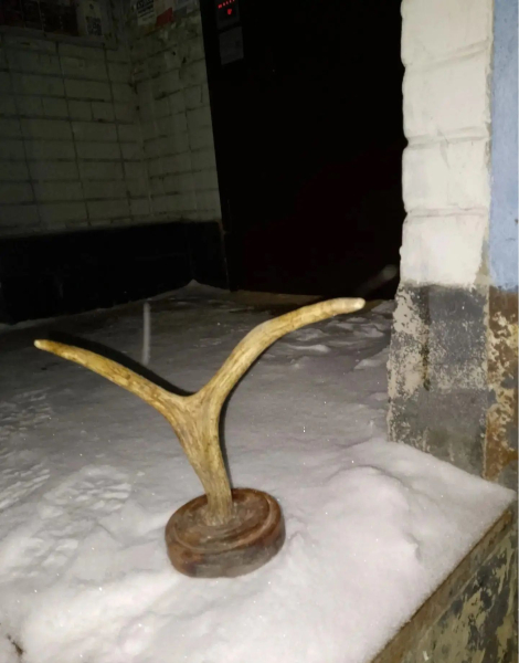 Коммунальщики Челнов показали «улов» из мусоропроводов: рога, тыква и матрас Коммунальщики Челнов показали «улов» из мусоропроводов: рога, тыква и матрас